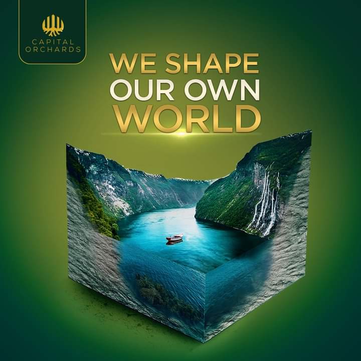 HamailEjaz's tweet photo. The jungle apartments with their tall trees will provide the aura of the forest life we all want alongside the luxury we all deserve. 

#CapitalOrchards 
#RoadShow https://t.co/93ta5SQ5Nd