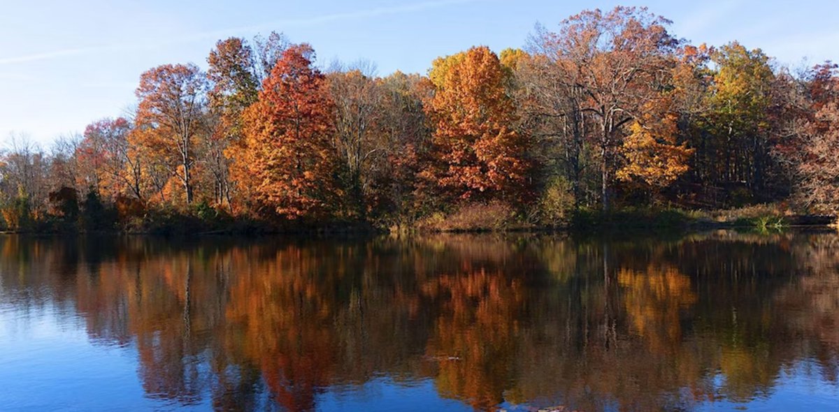 Do u enjoy walking the trails at Mountain Lakes? Please consider supporting <a href="/FOPOS1969/">FOPOS</a> -- the group responsible for maintaining the trails and stewarding the surrounding land in the preserve -- by coming to Oktoberfest or making a contribution! bit.ly/3fhOPDh