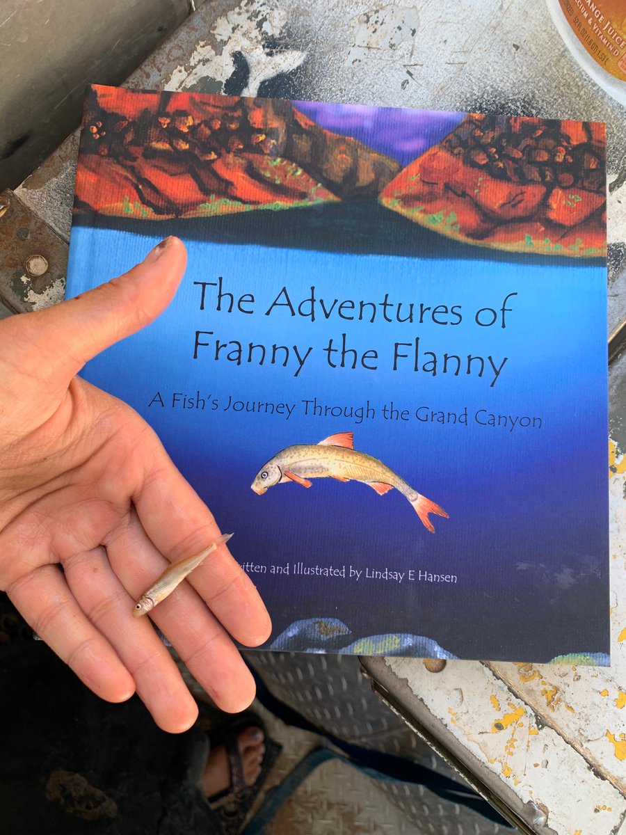 USGSAZ's tweet photo. Today is Science in the Park in downtown Flagstaff - come join us! This year, the Festival of Science interviewed #USGS_SBSC biologist Lindsay Hansen about her research, art, and science education:
Read more: https://t.co/8eUQ20V6TO
#GrandCanyonScience #ColoradoRiver https://t.co/JUBlaeCbVL