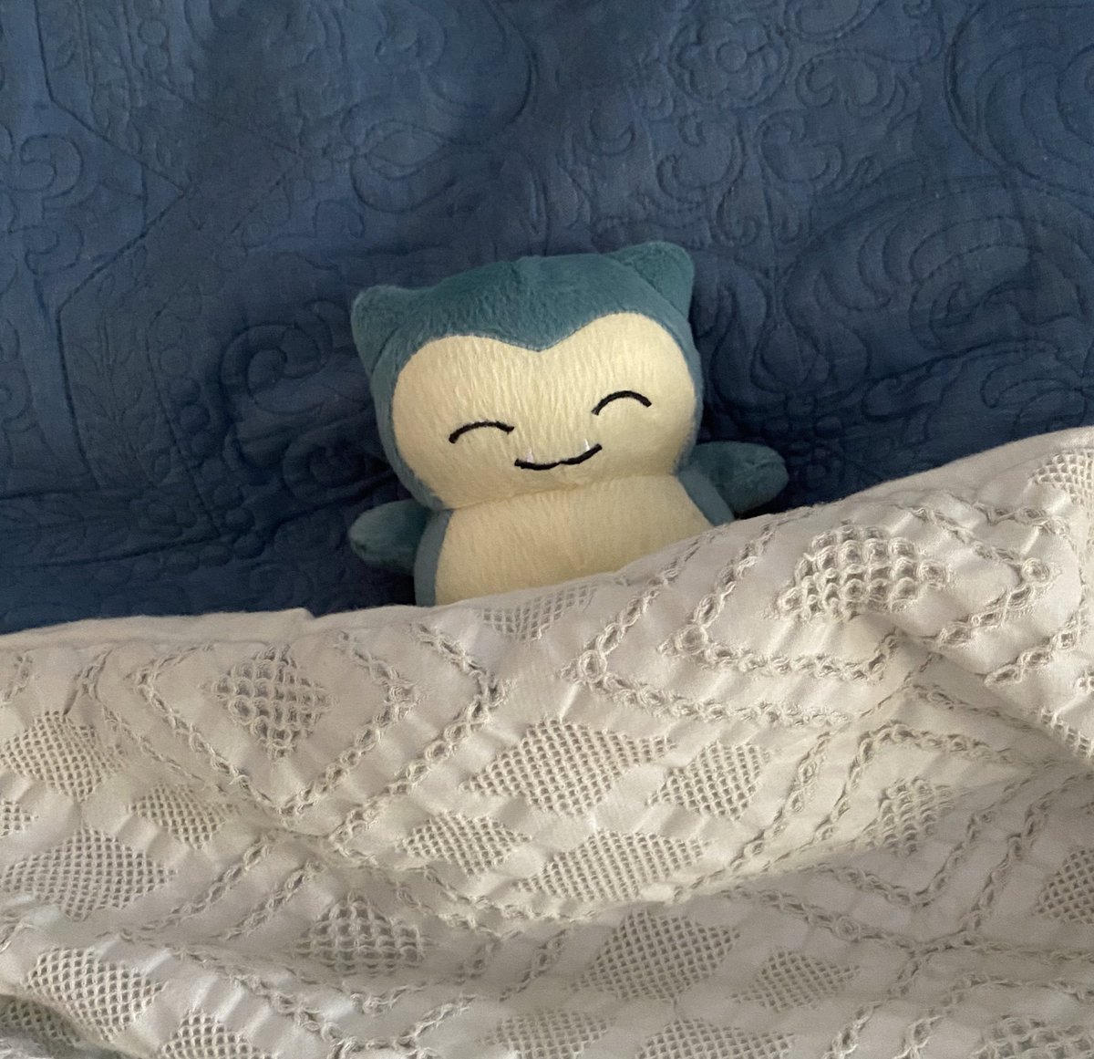 PokemonGems's tweet photo. it’s his nap time https://t.co/bcghOlSWIB
