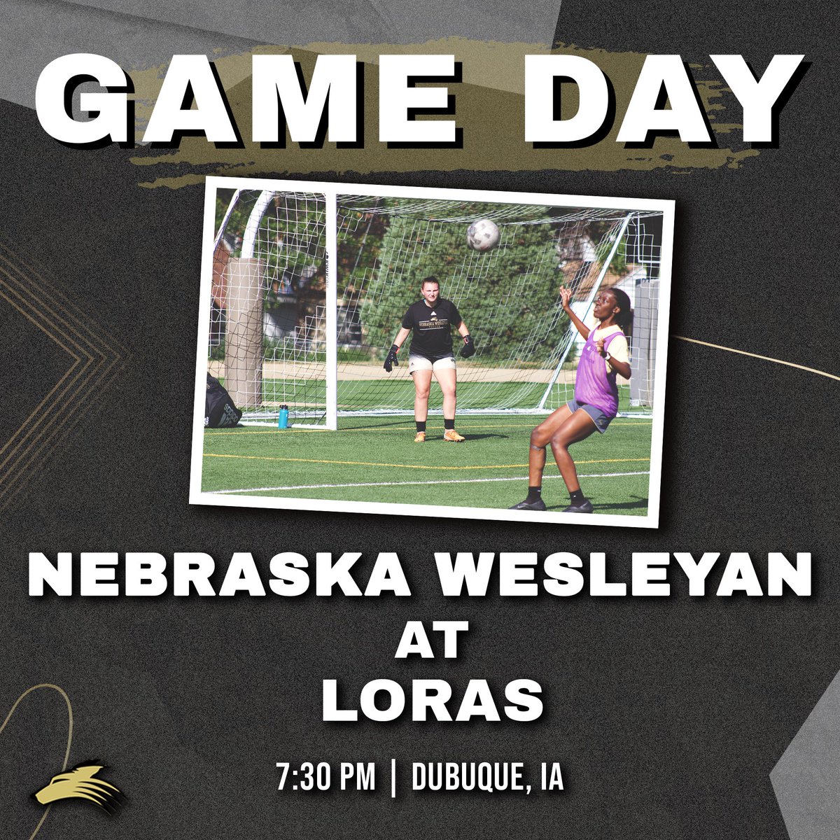 Conference play begins tonight! Yip yip! 🤘🐺 

📺: duhawks.com/watch/?Live=29…