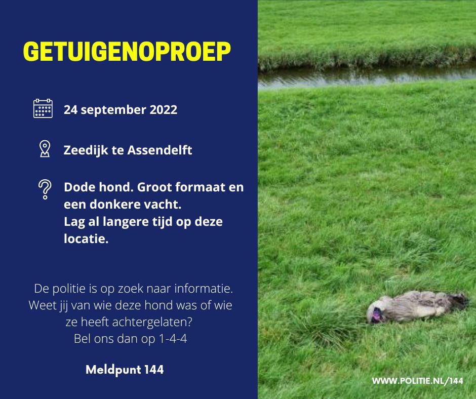 Meldpunt 144 (@meldpunt144) on Twitter photo 