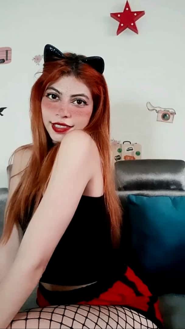 musia0's tweet photo. Hello, babe... do you adopt me? https://t.co/KyvnxeIcC0