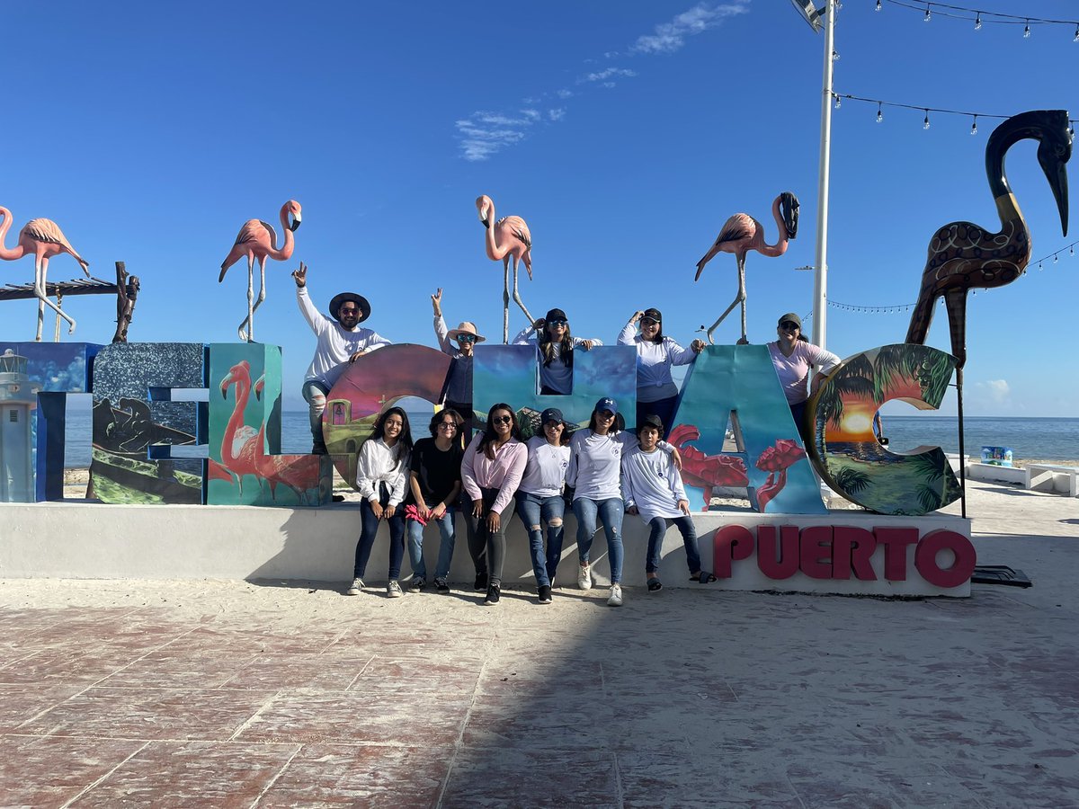 verderespong's tweet photo. ¡Los #AgentesDeCambio presentes en la #Macrolimpieza simultanea de playas 🏝 en 14 puntos de la costa de #Yucatán! https://t.co/j82wFKH67m
