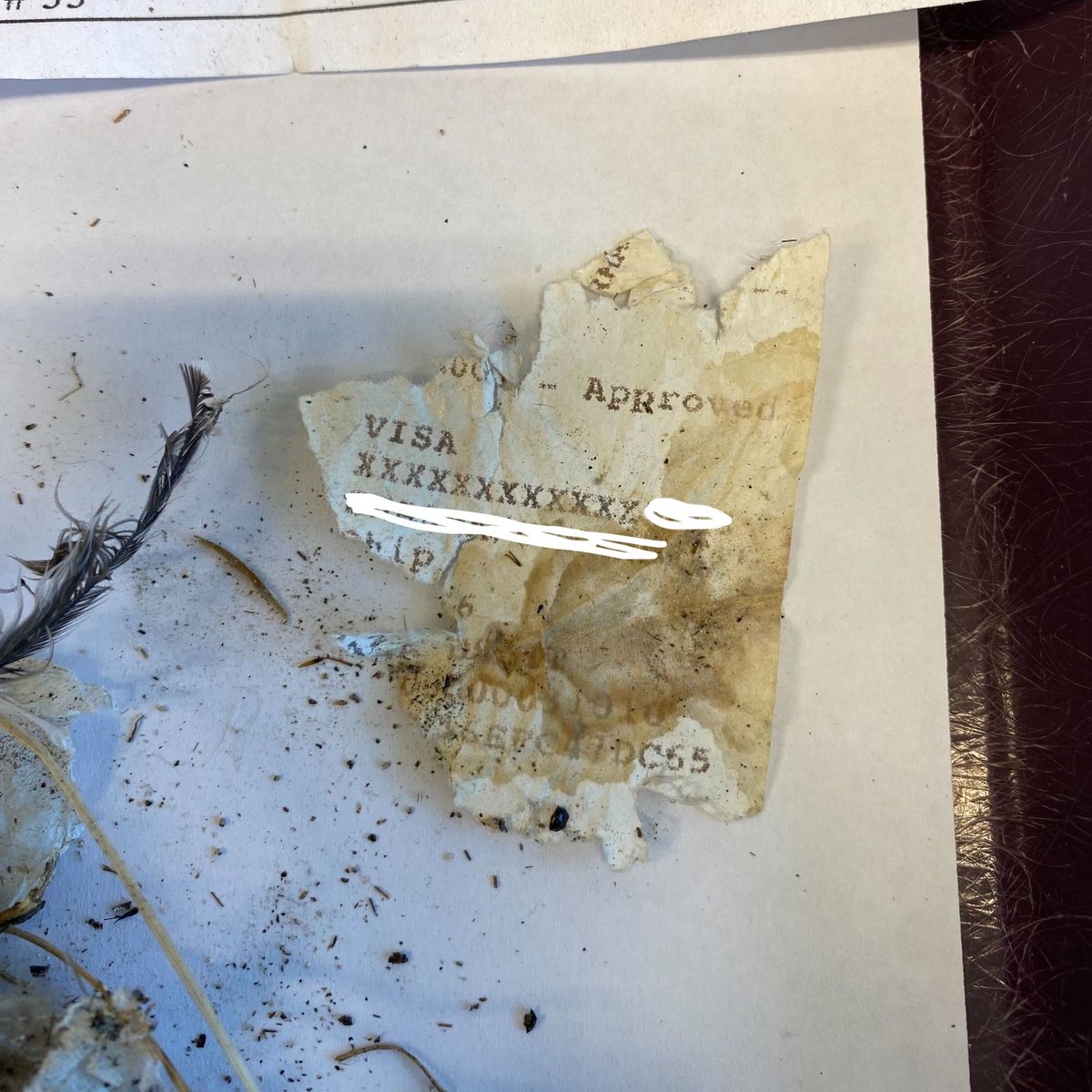 ParasiteSquad tweet media