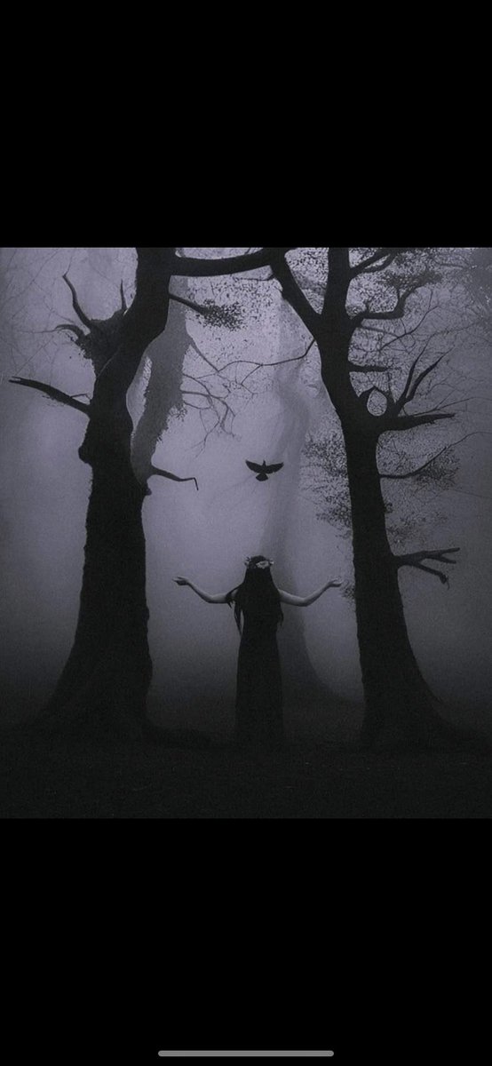 Tarot_Adele's tweet photo. Being a Witch means living in this world consciously, powerfully and unapologetically💜

#witchcraft #witchtwt #witchy #pagan #tarot #equinox https://t.co/kbApFliIdt