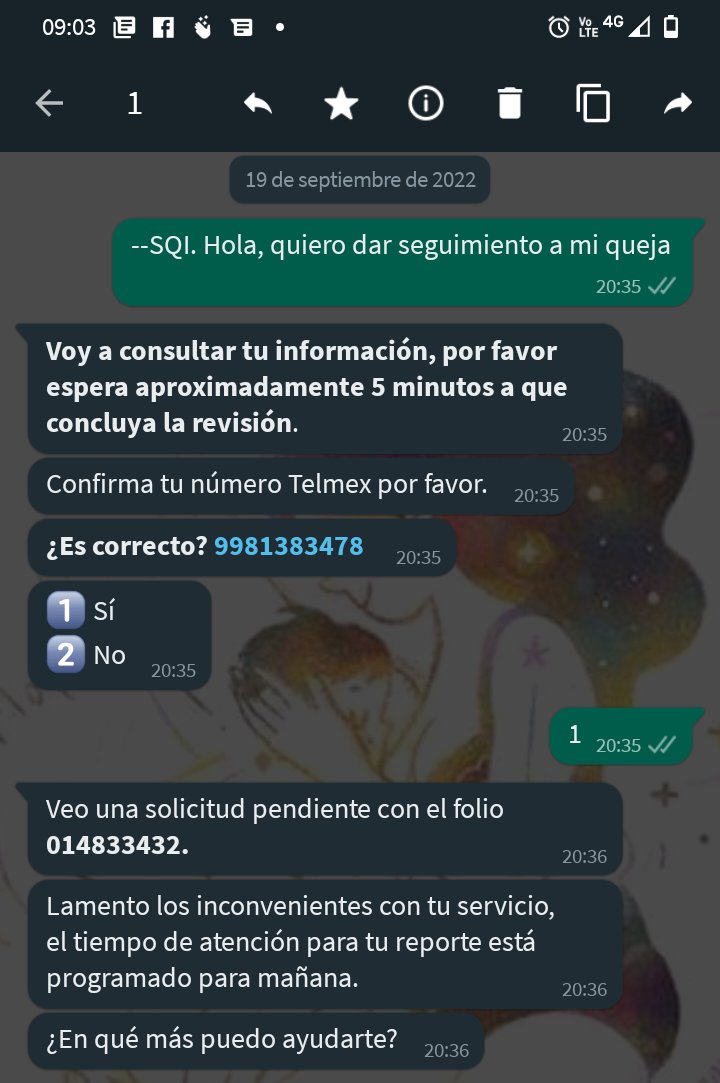 TaniaSPB's tweet photo. @Telmex Hola, llevamos dos semanas sin Internet, ya lo reporté 5 veces, en la línea telefónica, en el WhatsApp e inclusive por mensaje. 
Ayer volvimos a llamar y nos dicen que se está "reparando". necesitamos una solución. https://t.co/2RKOl13KOM