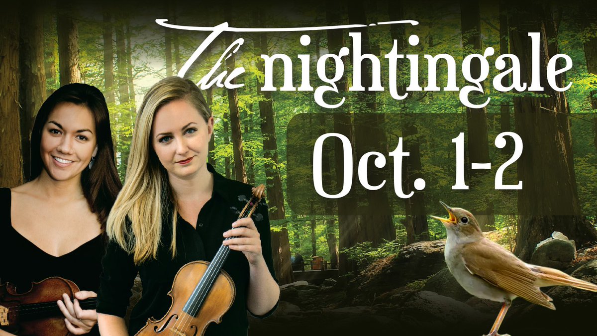 Dubuque Symphony tweet media