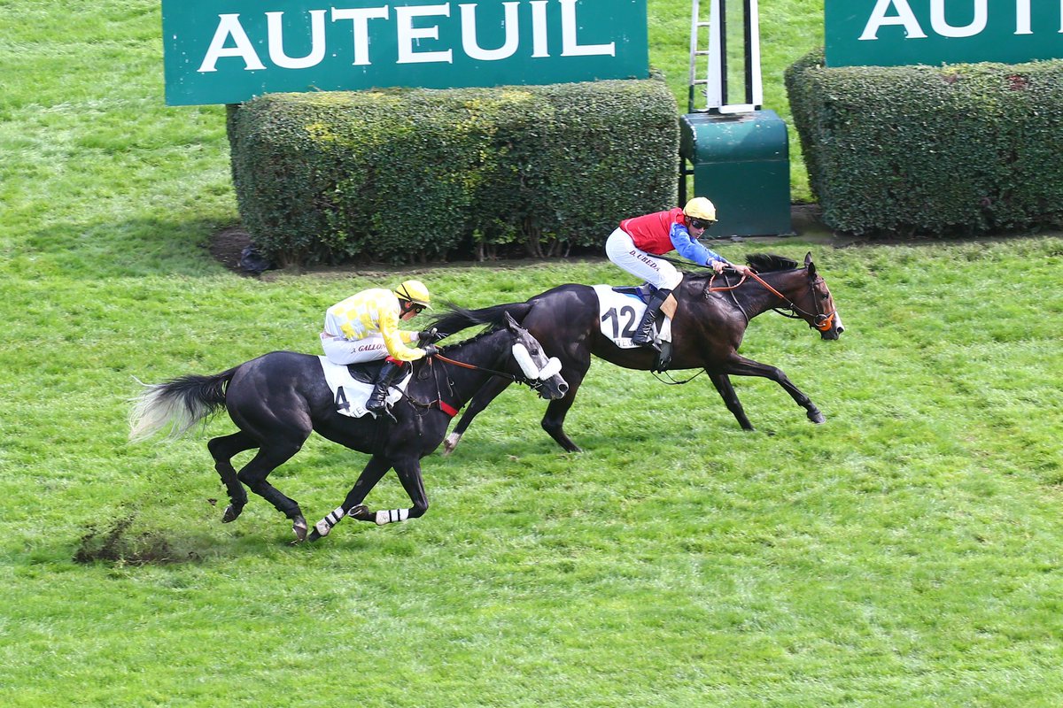 🏆🥇 𝐌𝐨𝐭𝐮 𝐅𝐚𝐫𝐞𝐨𝐧𝐞 et <a href="/ubeda_dylan/">Dylan Ubeda</a> remportent le #quinte du jour : le Prix Violon II 

Arrivée : 12-4-16-15-9

Le replay 👉🏻 bit.ly/3DVVLQR

📷 <a href="/ScoopDyga/">ScoopDyga</a>