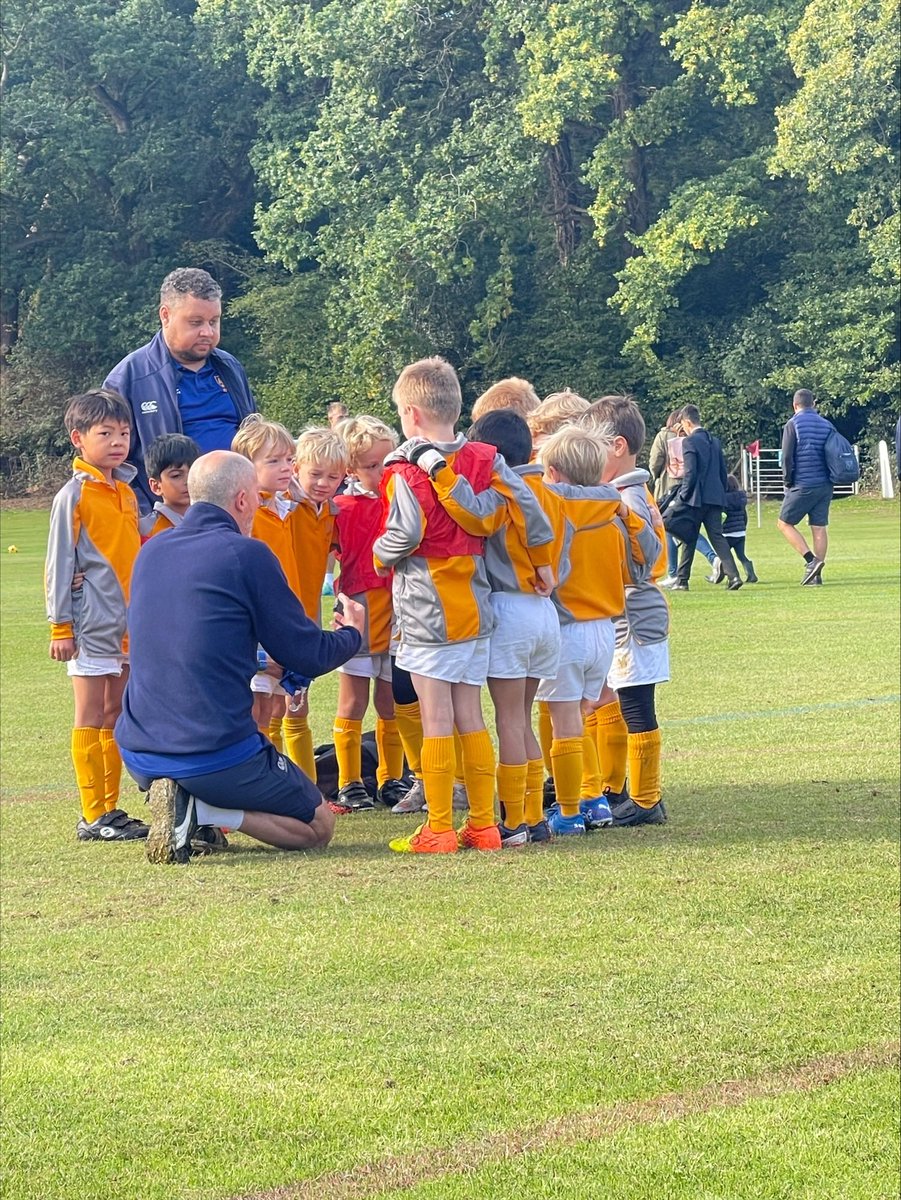 Wimbledon Common Prep School tweet media