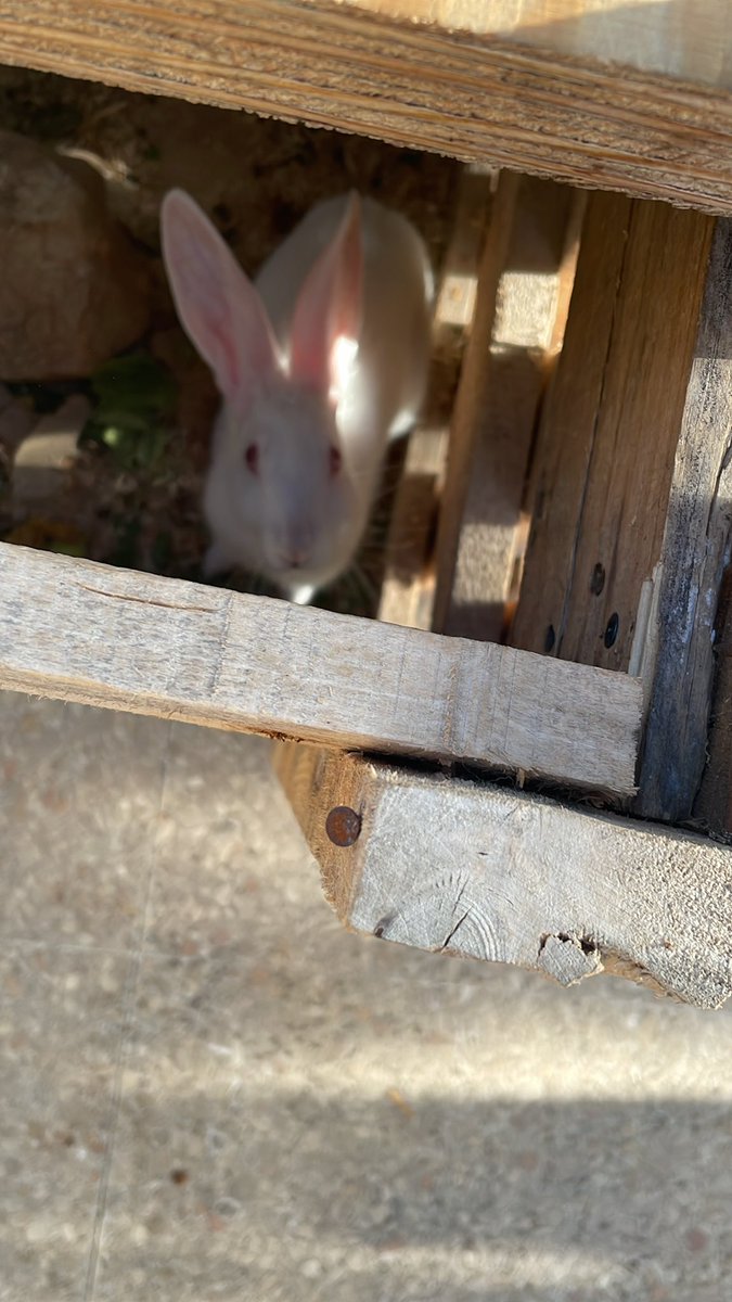 عمر ~ 🇱🇧 tweet media