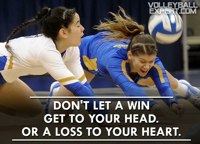 Volleyball Expert tweet media