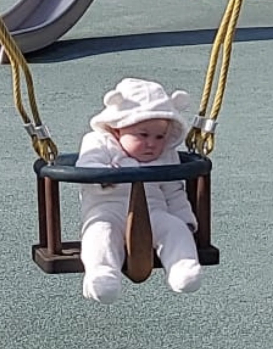 lauraridge_'s tweet photo. Just my 6 month old having an existential crisis on the swings #UokHun? https://t.co/t694zppjP8