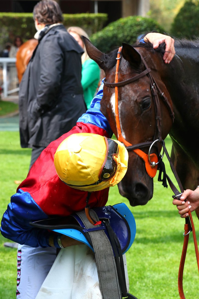 😘 ❤️ Instant bisou pour 𝐌𝐨𝐭𝐮 𝐅𝐚𝐫𝐞𝐨𝐧𝐞 et <a href="/ubeda_dylan/">Dylan Ubeda</a>, vainqueurs du #Quinte 

📷 <a href="/ScoopDyga/">ScoopDyga</a>