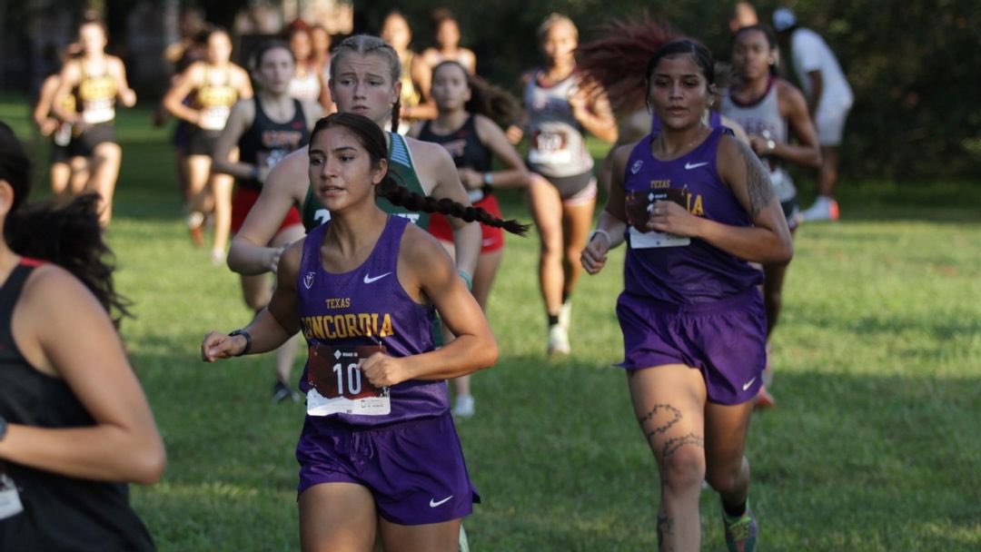 Concordia Athletics tweet media