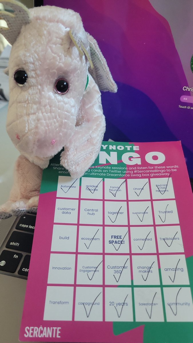 cloudy_chrissy's tweet image. I could have gone for total blackout but I at least got 4 bingos. And @SercanteDragon showed up in a big way. #sercantebingo
