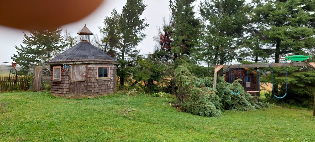 Pastimespei's tweet photo. Twitter seems to work, not much else. Happy to be safe but our yard is devistated. Takecare, people. https://t.co/pclDFfIWDA
