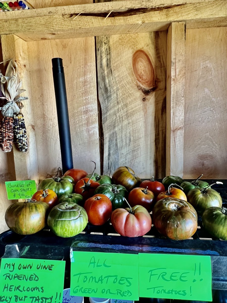 NYFarmer's tweet photo. Well, my friend’s heirloom tomato business was a bust. Nobody wants them. Reduced to persuading people by giving them away. https://t.co/CzsUjimQYN