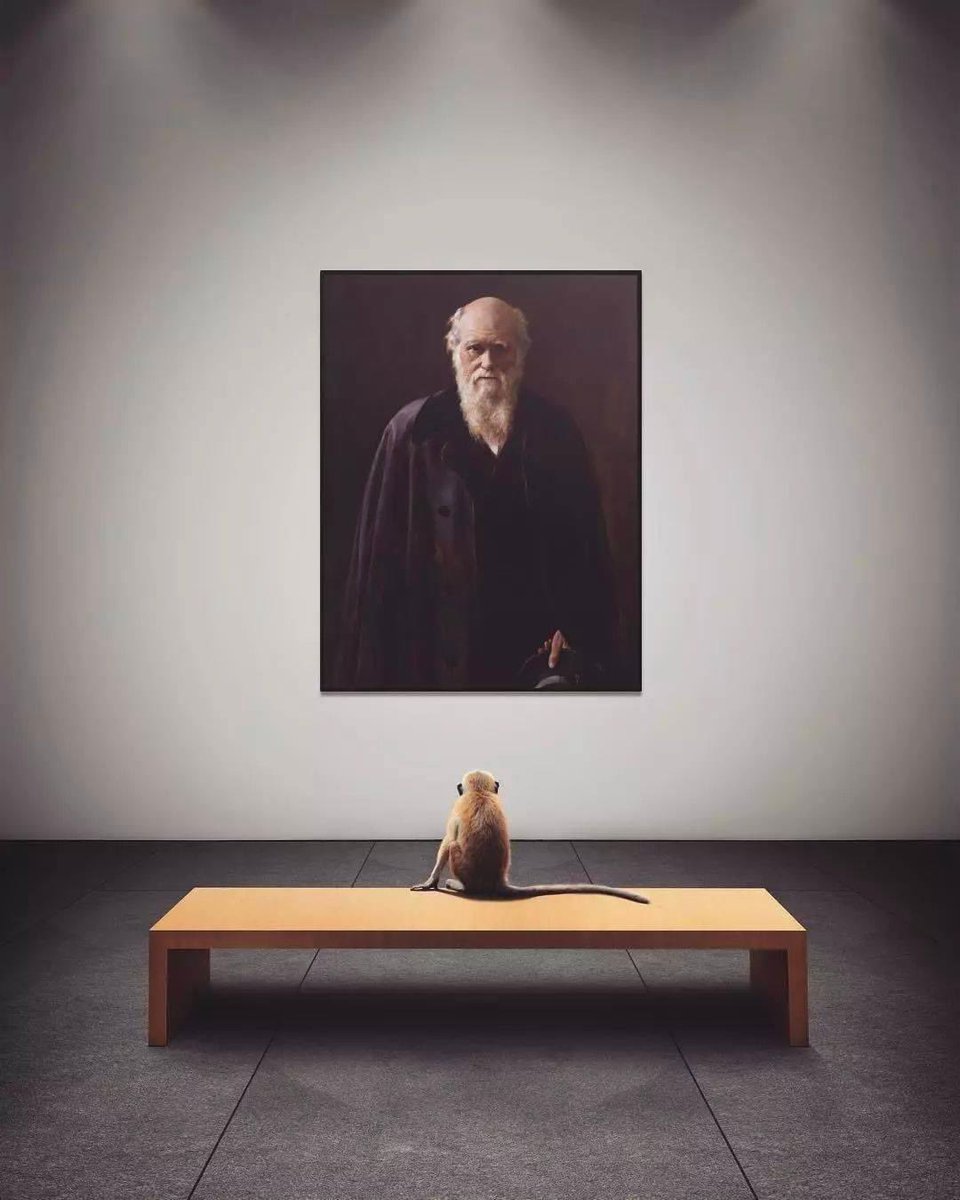 EnsedeCiencia's tweet photo. "No es el más fuerte de las especies el que sobrevive, tampoco el más inteligente; es aquel que es más adaptable al cambio".

- Charles Darwin. https://t.co/QK2saUgG5Q