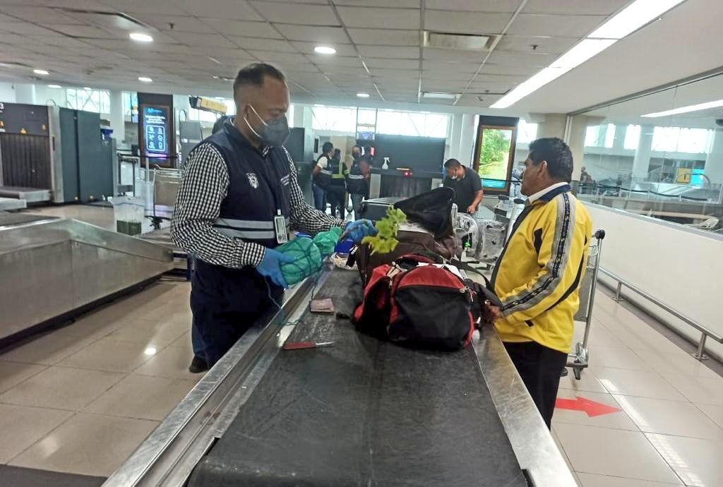 AgrocalidadZ5's tweet photo. #Guayas | Realizamos control fito y zoosanitario a pasajeros y equipajes provenientes de vuelos internacionales en el Aeropuerto José Joaquín de Olmedo, con el objetivo de prevenir el ingreso de plagas al país.
#PrevenciónSanitaria https://t.co/aEBQj4lkQR