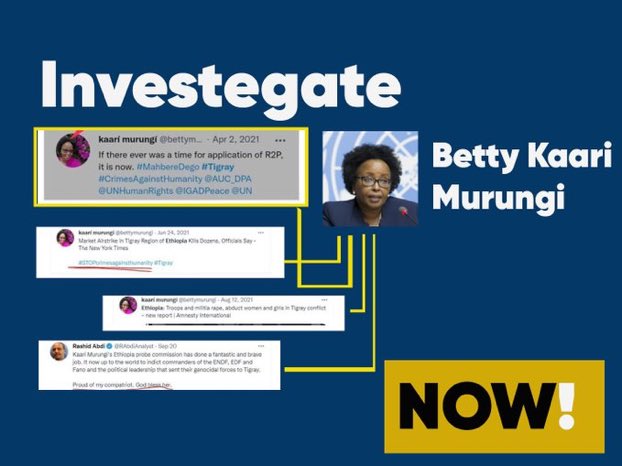 GleanEthiopia's tweet photo. #InvestigateBettyKaariMurungi @UN_HRC @UN @Chinamission2un @UN_News_Centre @UN_Women @EthioUNGeneva @UNHumanRightsEU @UNOCHA @MaryLawlorhrds @unwomenethiopia @UNHumanRights https://t.co/OA8USMscjx