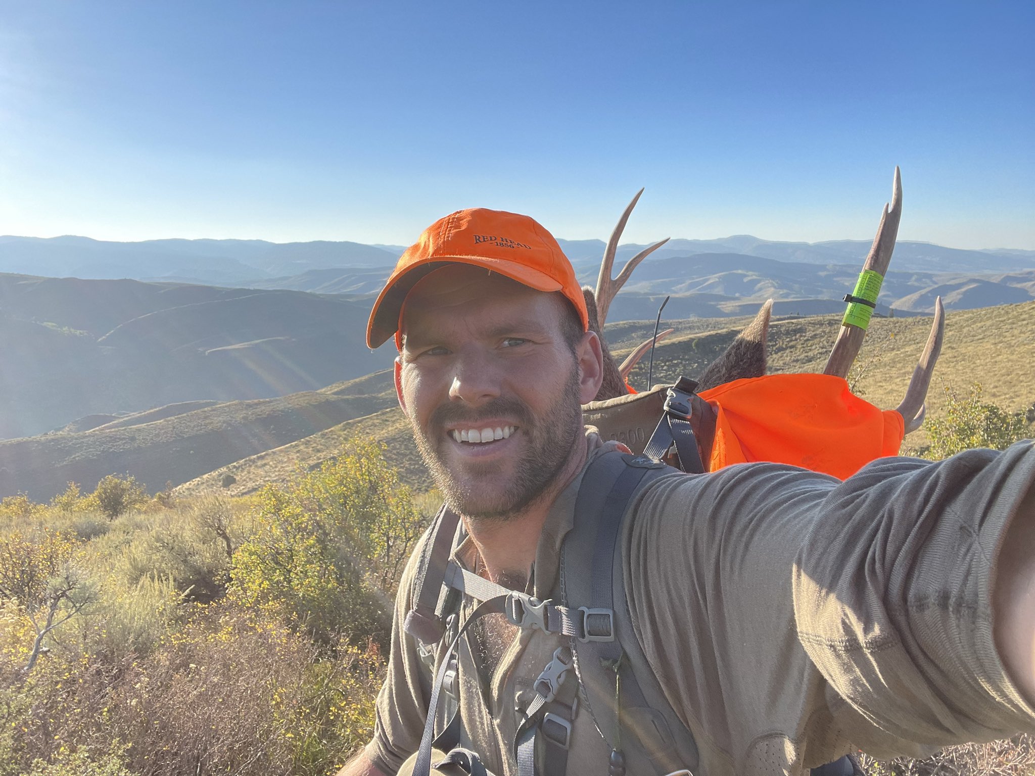 Jed Kennedy on Twitter "Heavy pack coming out yesterday! He ain’t a