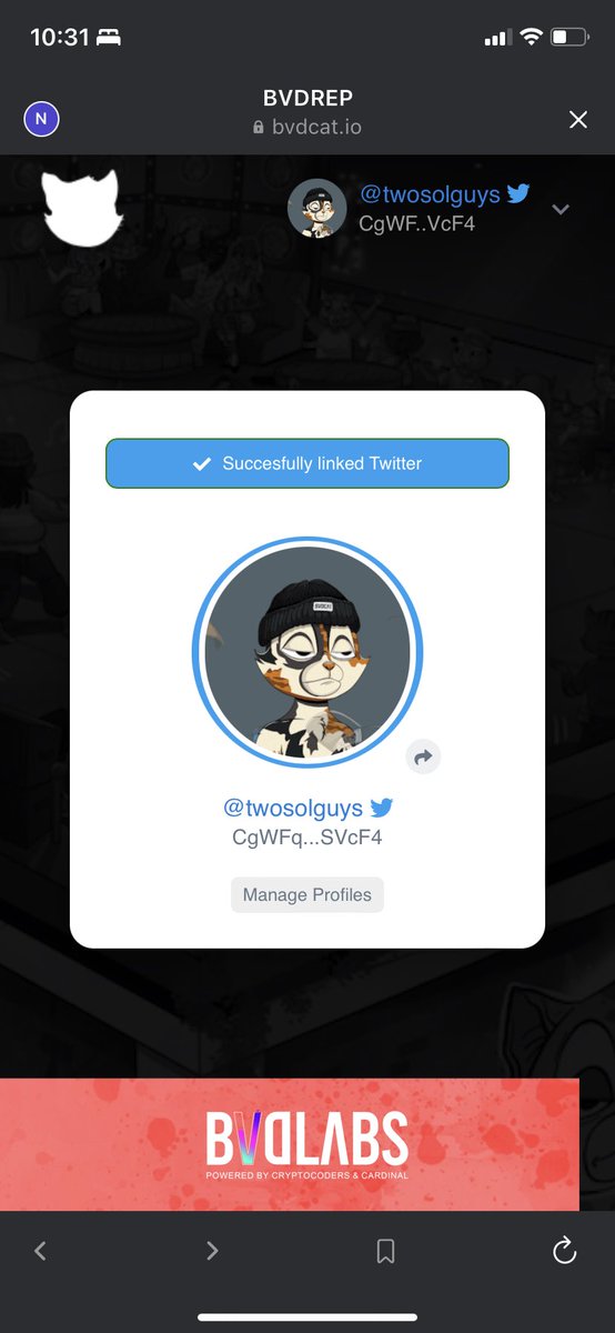 twosolguys's tweet photo. @BVDCAT_ LFG! 🔥🔥🔥 https://t.co/LI0iLifC8Q