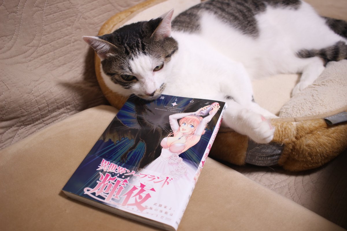 「猪熊しのぶ先生から『異世界ソープランド輝夜』最新5巻をご恵贈いただきましたぼくの」|大西巷一：『星天のオルド　タルク帝国後宮秘史』連載中のイラスト