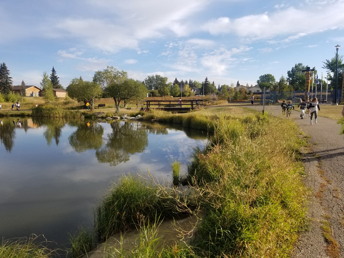 Kelly Friesen tweet media