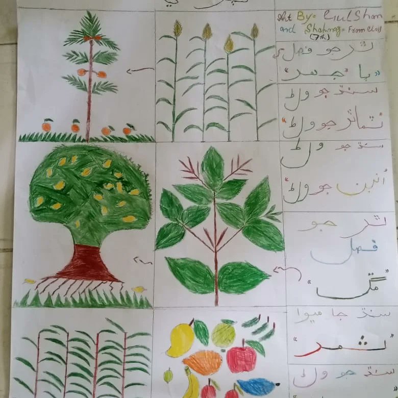 CalpakEdu's tweet photo. We don't teach our students what to do but make them aware so that they can become creative people and exceptional leaders in the future but not a follower.
We firmly believe they need this creativity to be successful in school and life.
#AnilaAli #DrGwenHecht #CalpakPakistan https://t.co/FNaLQbgDnr