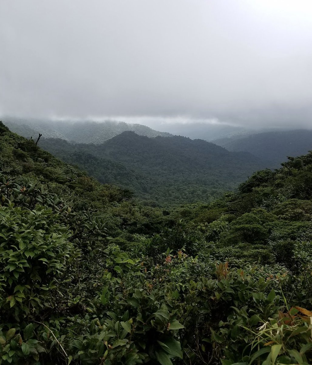 drvickip's tweet photo. "Today is wild and it is yours."
Where are you exploring today? #ExplorerMindset #ExploreReflectConnect #Nature https://t.co/cl4R1lBPLS