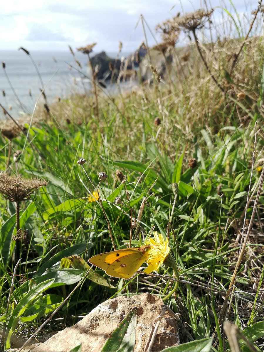 Martin Warren tweet media