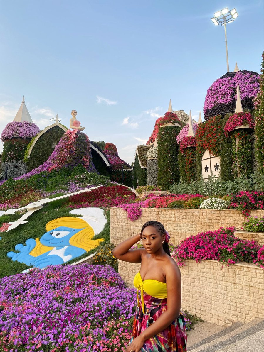 diddys___'s tweet photo. Daisy🌸🌸 https://t.co/g8M6bN2yBD