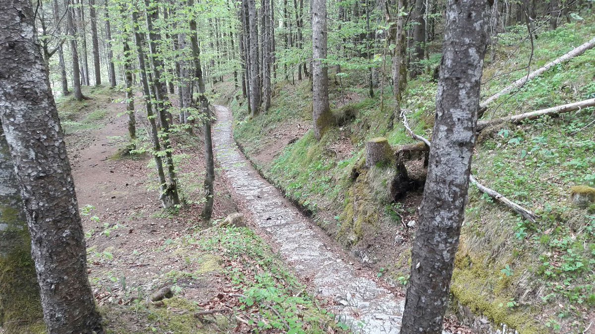 MC_Floh's tweet photo. @ninjasniperpon "Römerstraße" (#Via #Retia)
Features: replaced #Via #Claudia #Augusta (🇩🇪 – 🇦🇹 – 🇮🇹) as most important road across the Eastern #Alps / Shortening of #Verona – #Augsburg Connection (620 km to 520 km)
Built: 200 AD (Emperor #Septimius #Severus)
#Roman #Road #Raetica #Retica https://t.co/tOxQJ4SqLj