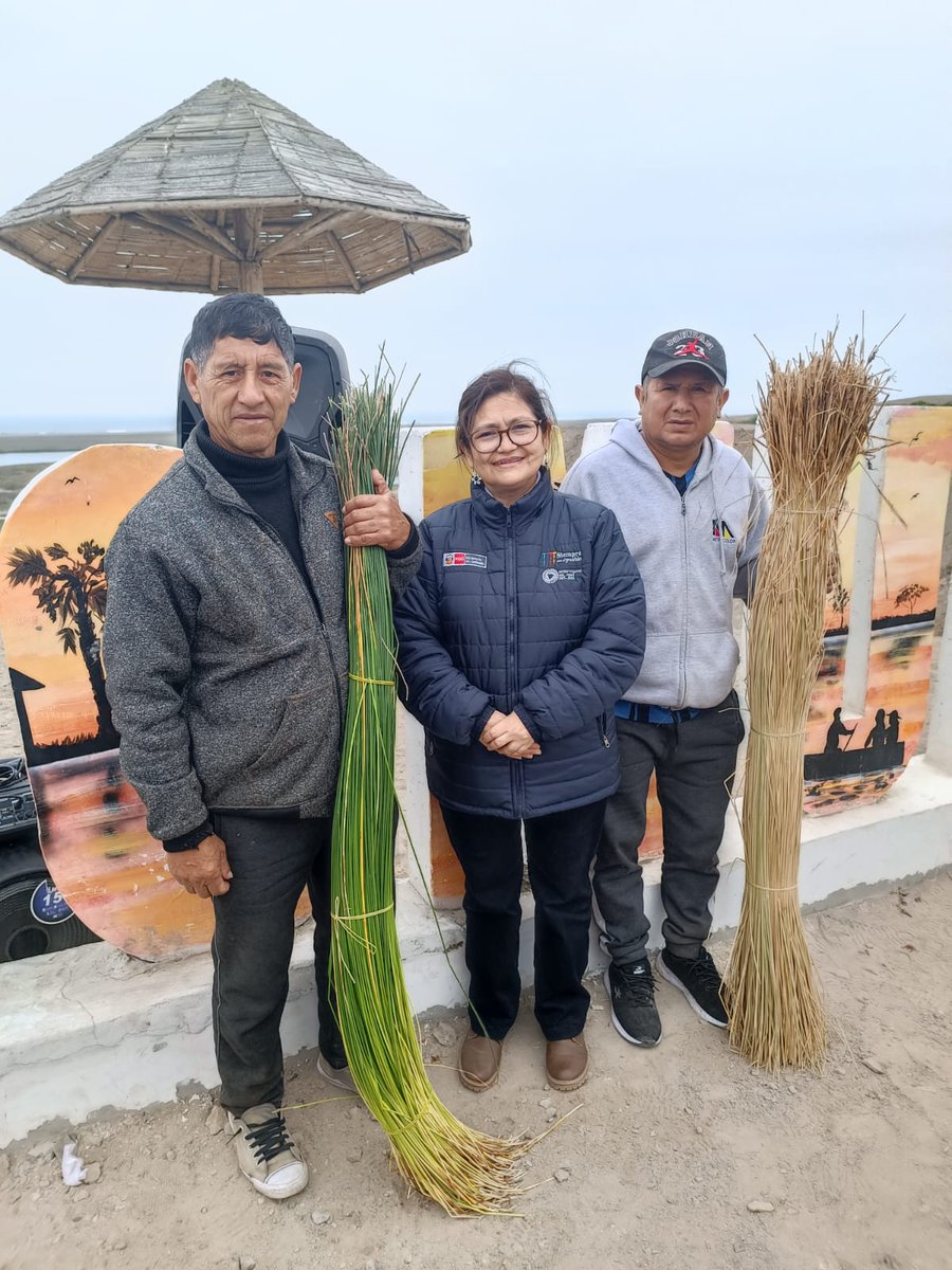 MinamPeru's tweet photo. 📢 La biodiversidad marina es un componente clave para la seguridad alimentaria.
💬 Sostuvo la viceministra Yamina Silva en el VI Seminario Nacional del Manejo Integrado de las Zonas Marino Costeras, que se realizó en Huaura.
📰 Más detalles: https://t.co/n5enHiVp7D. https://t.co/JiM7l2eMw9