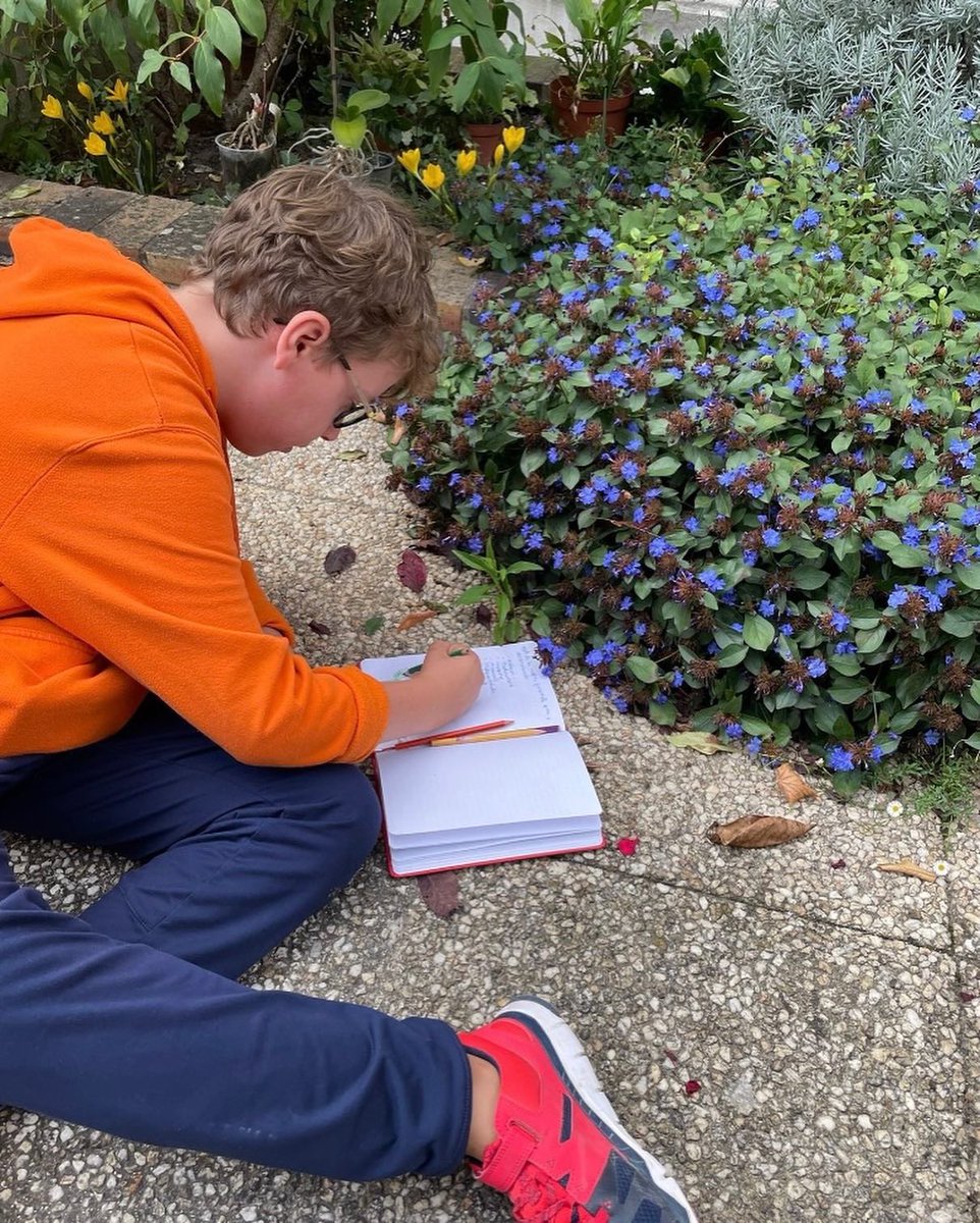 HubSchool21 tweet media