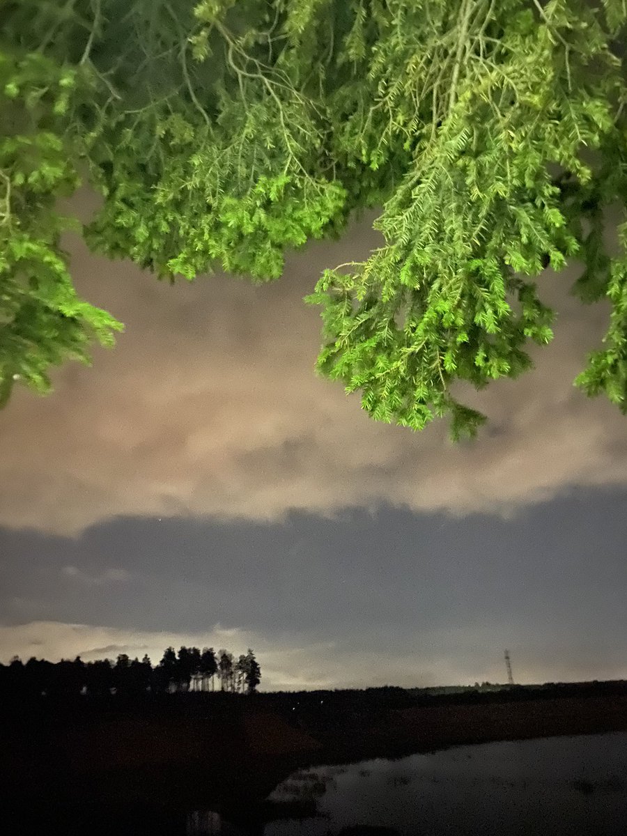 Когда ищут все! 

#ЛА #поиск #собакаспасака