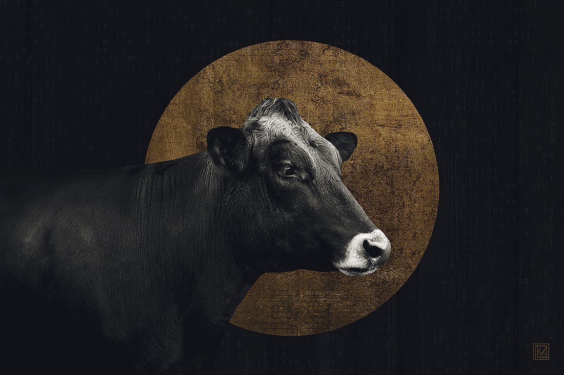 Kristen V🅰️lent | .ETH/TEZ tweet media