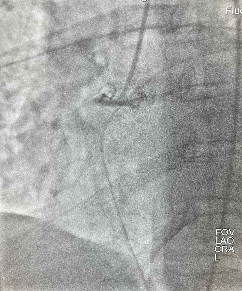 Kelly Paschke, DO tweet media