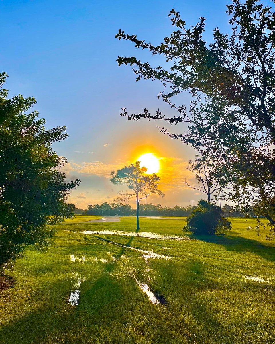 forpoochessake's tweet photo. The #park is #waterlogged from daily #storms. #birds love it. They’re actively #flyinginformation up above, singing and chirping down below, and #justchillin along #ponds and #canals The ground is #wet & #soggy & rich with #foodtoeat . good for them. #morerain coming soon. https://t.co/vCecVwLYEh