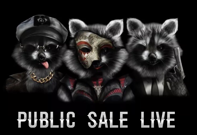 Trash Panda Club | PUBLIC MINT LIVE tweet media