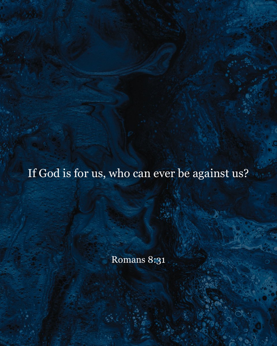 YouVersion Bible App tweet media