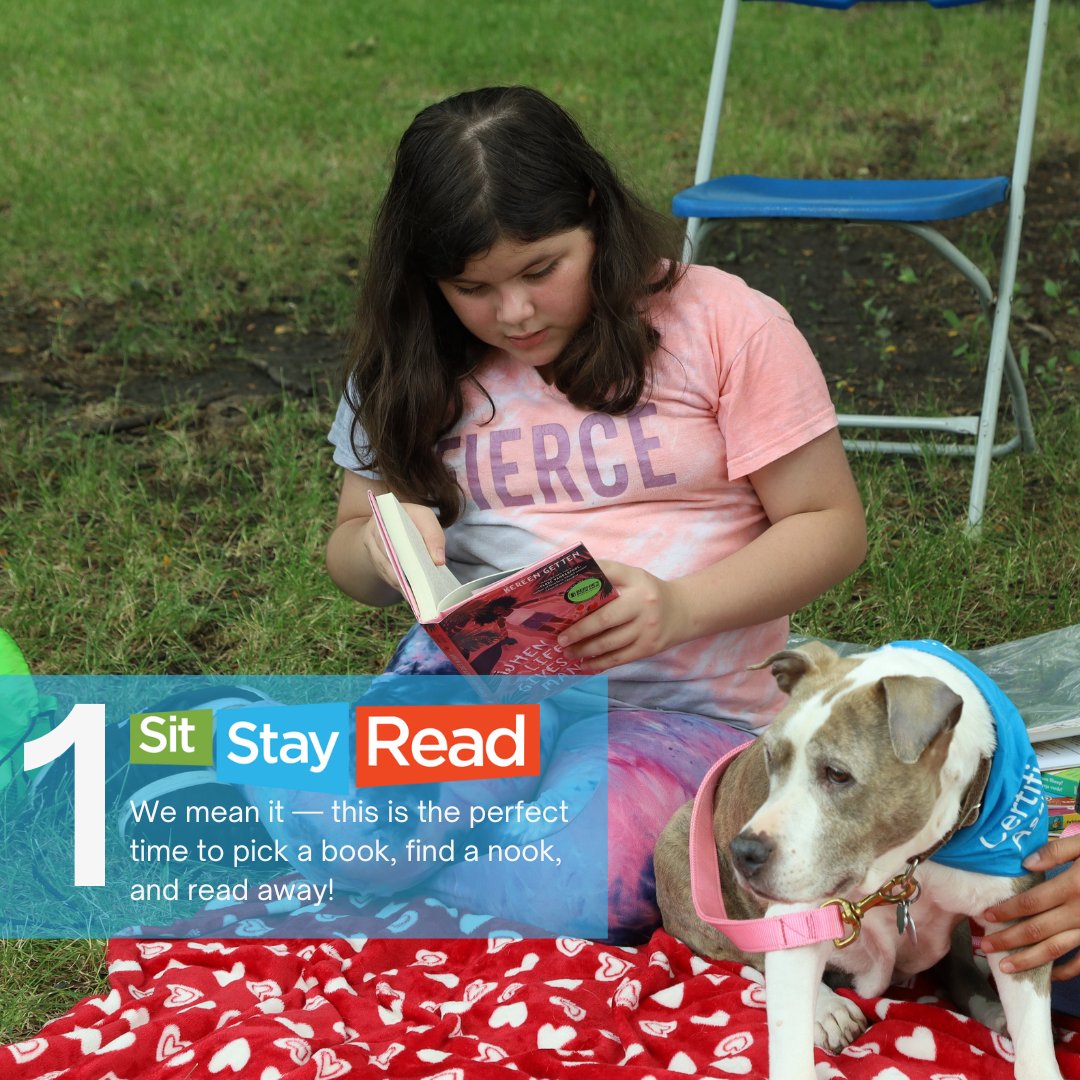 SitStayRead tweet media