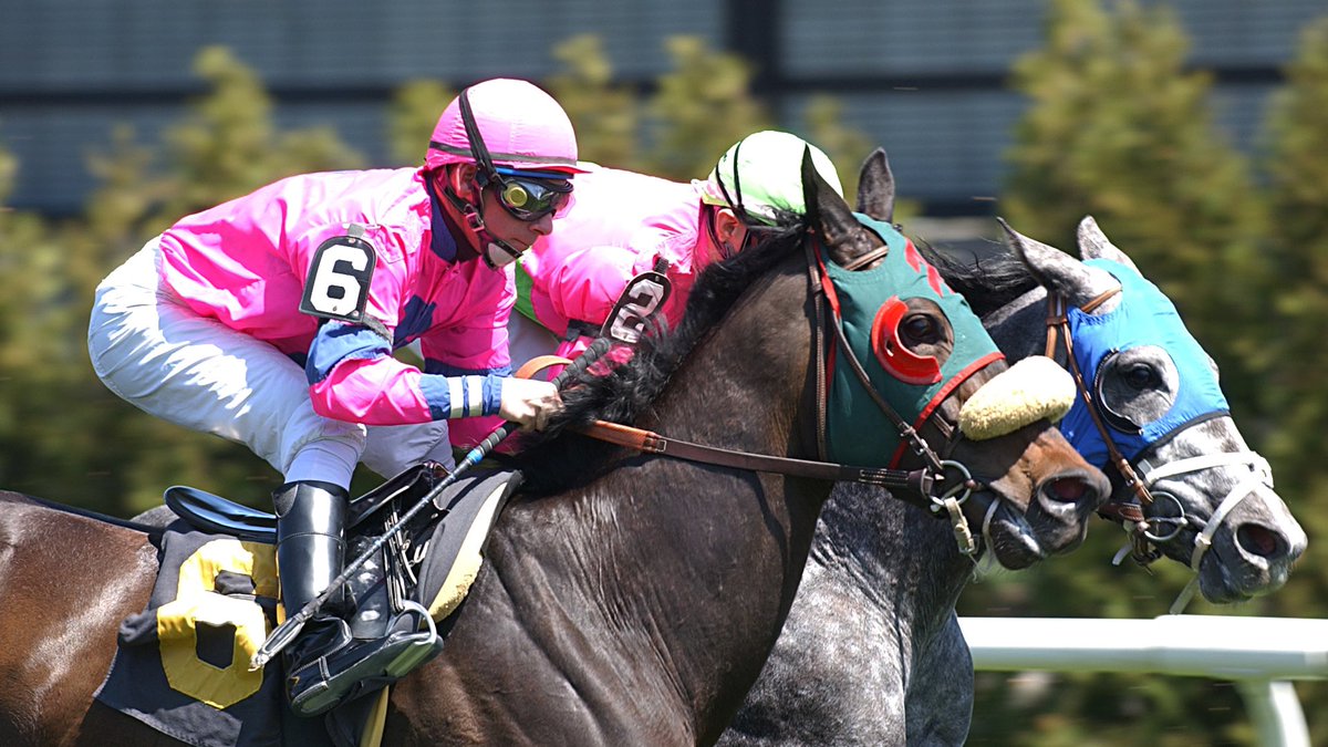 Ya estamos al aire EN VIVO a través del canal de YouTube EXACTA BOX. Analizamos el #PennsylvaniaDerby 2022 y tenemos el pronóstico del Pick 5 para #GulfstreamPark y #BelmontattheBigA. #hipismo youtu.be/GRS96aBivHo