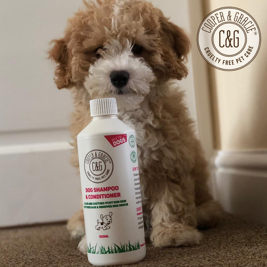 CooperAndGracie's tweet photo. 🏆Number 1 Best Selling Dog Shampoo and Conditioner.. great for itchy skin!⁠
⁠
I've got fresh curly hair, an just don't care🐶 @jackgi123⁠
⁠
Here at Cooper and Gracie all of our products are 100% natural, cruelty-free, and are skill-fully handmade in the UK. 🐶🌱⁠
⁠⁠ https://t.co/nEHTMR4smn