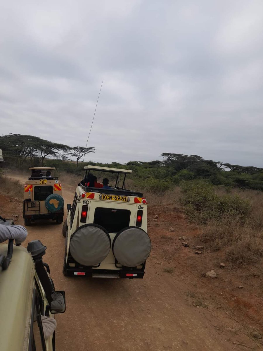 MsweliSimangele's tweet image. The Charles R. Wall #YoungAfricanPolicyFellows spent yesterday learning about Nairobi National Park and the work of @AWF_Official across Africa. Policies must be guided by realities in the ground and in turn, must work towards enhancing efforts on the ground. #PolicyandPractice