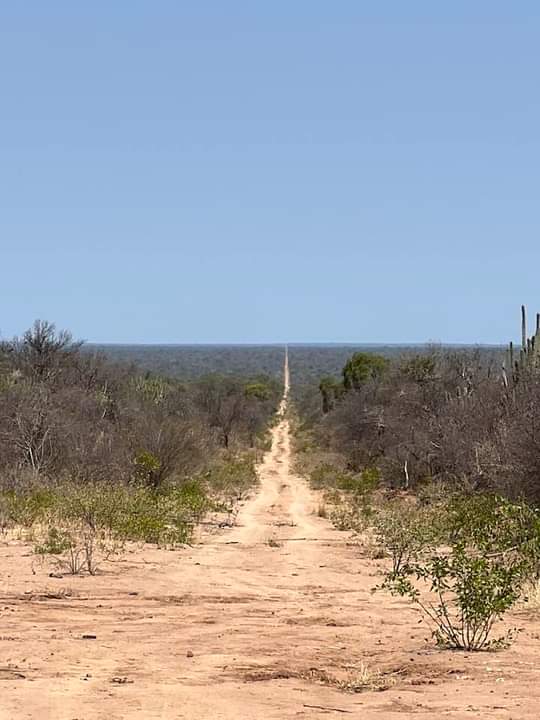 La impresionante frontera entre Paraguay y Bolivia en el norte del Chaco.