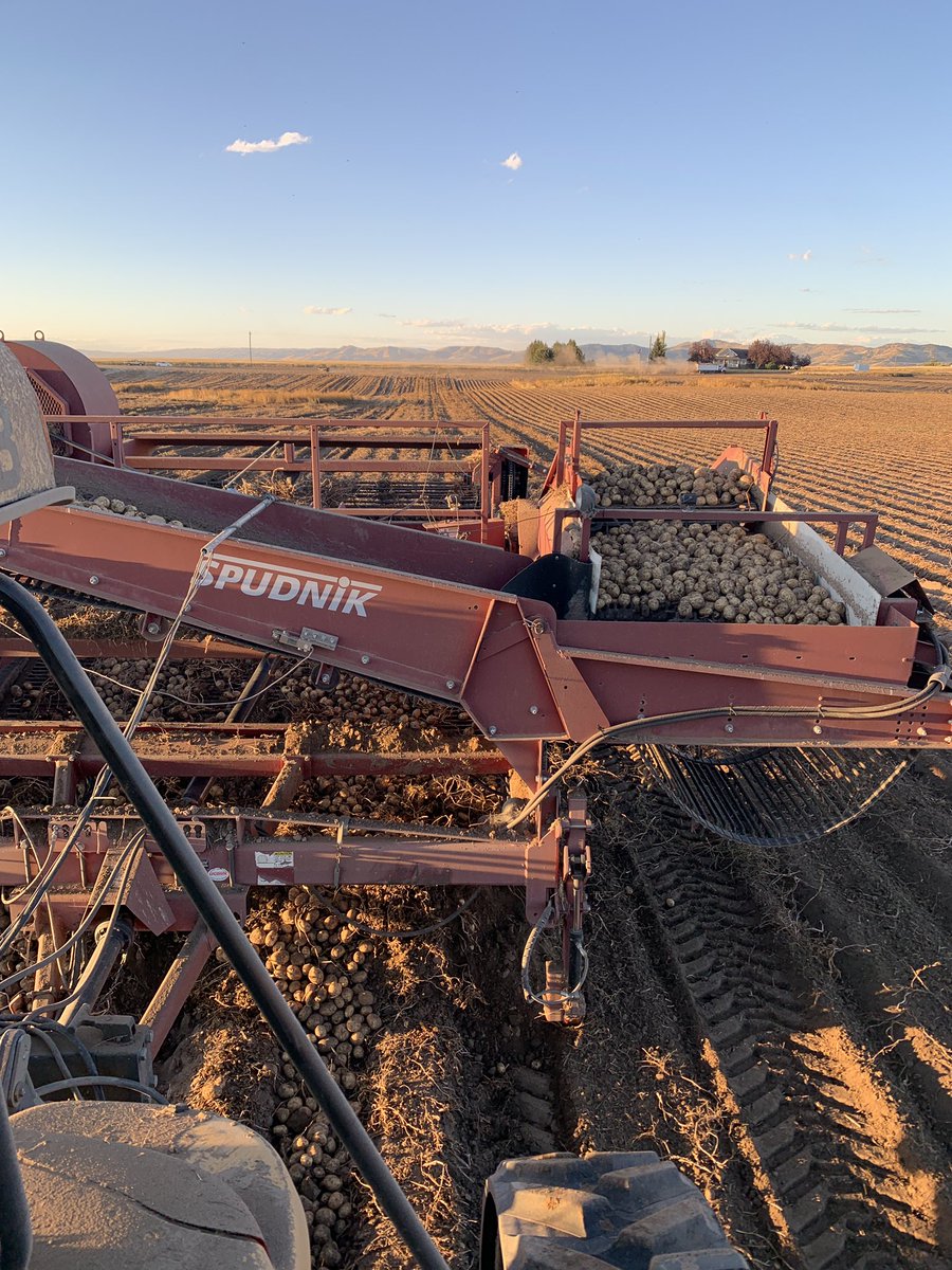TannerDunn35's tweet image. What an awesome week expanding @FieldView @ClimateLLC_ag compatibility for potato diggers. More to come soon 👀