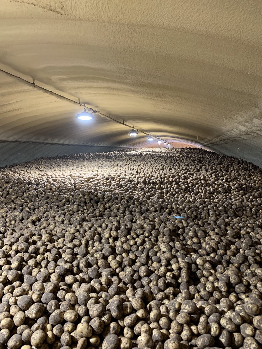 TannerDunn35's tweet image. What an awesome week expanding @FieldView @ClimateLLC_ag compatibility for potato diggers. More to come soon 👀