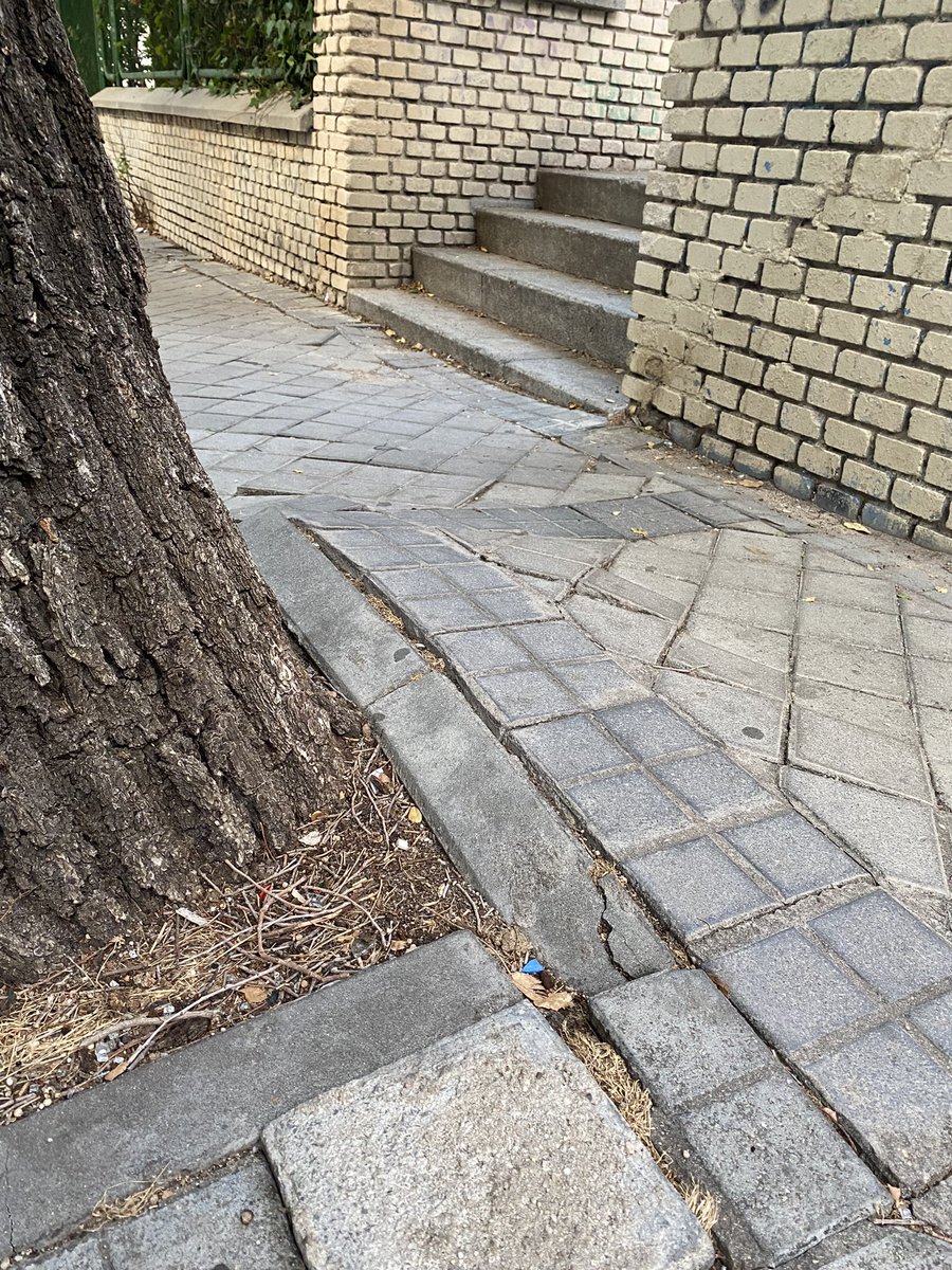 El lunes mi madre (72 años) se cayó en la calle. Rotura de radio, 6 semanas de escayola y contusiones en todo el cuerpo. Lleva una semana sin poderse mover de casa. <a href="/MADRID/">Ayuntamiento Madrid</a> no hay derecho a que las aceras estén así. NO HAY DERECHO. ¿No piensan hacer nada? <a href="/AlmeidaPP_/">José Luis Martínez-Almeida</a>